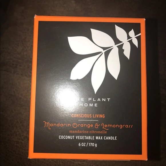 Orange lemongrass coconut soy candle nwt - Picture 4 of 4